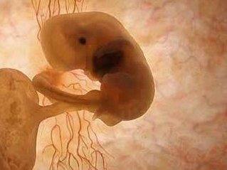 无锡市助孕服务公司电话一览表