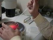 北京试管婴儿费用揭秘，究竟多少钱能实现梦想？