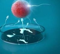 一般试管费用是多少？影响费用的因素有哪些？