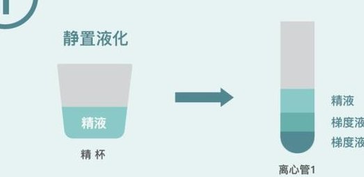 2026年单身女人去马鞍山市妇幼做试管生孩子贵吗？费用详细介绍